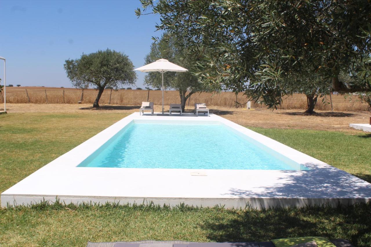 Casa Do Roxo - Eco Design Country House Santa Vitória Екстериор снимка